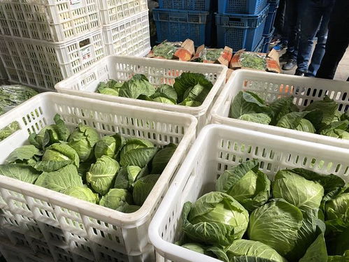 江苏全面构建“一张网”监管体系 兜牢食用农产品质量安全底线